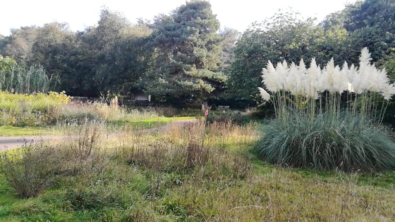 קרוידון Many Worlds Meet - Eurostar, Wimbledon 30 Mins, Central London, Gatwick 15 Mins - Spacious, Sleeps Up To 16 Plus Cot - Free Wifi, Parking - Next To Lloyd Park, Great For Families, Walkers, Relocators - Ideal For Contractors מראה חיצוני תמונה