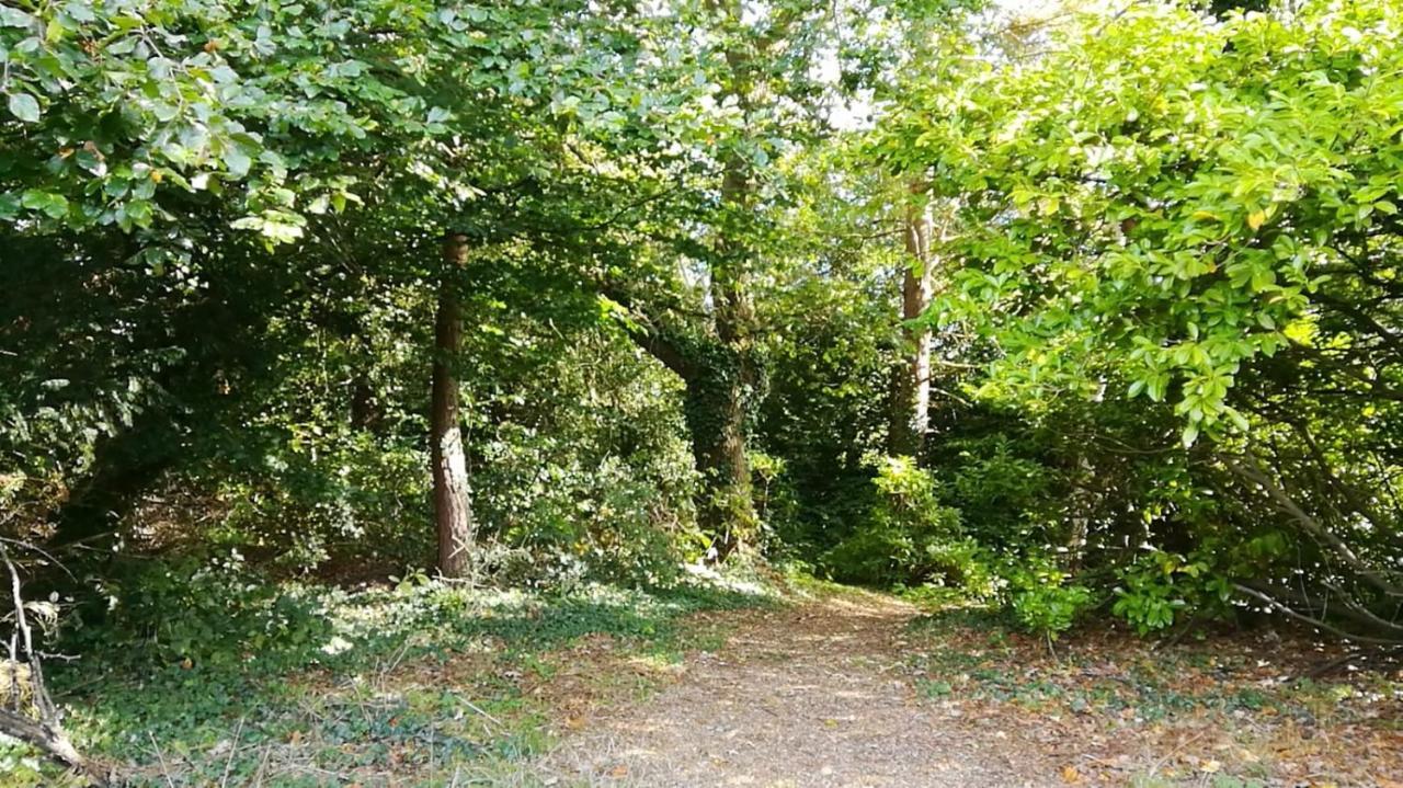 קרוידון Many Worlds Meet - Eurostar, Wimbledon 30 Mins, Central London, Gatwick 15 Mins - Spacious, Sleeps Up To 16 Plus Cot - Free Wifi, Parking - Next To Lloyd Park, Great For Families, Walkers, Relocators - Ideal For Contractors מראה חיצוני תמונה