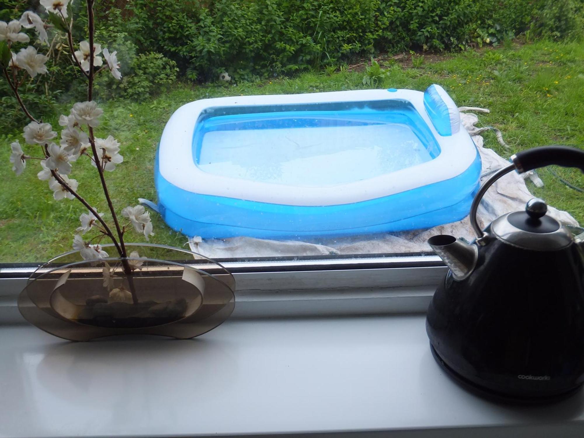 קרוידון Many Worlds Meet - Eurostar, Wimbledon 30 Mins, Central London, Gatwick 15 Mins - Spacious, Sleeps Up To 16 Plus Cot - Free Wifi, Parking - Next To Lloyd Park, Great For Families, Walkers, Relocators - Ideal For Contractors מראה חיצוני תמונה